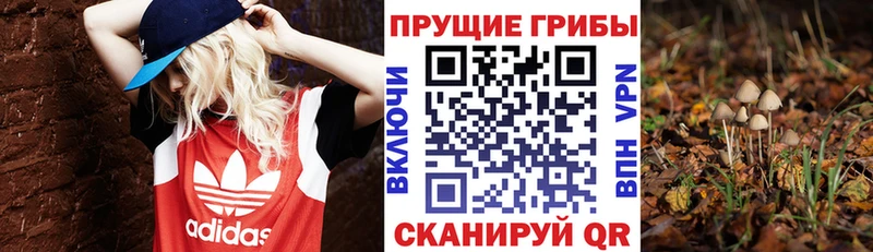 Галлюциногенные грибы мухоморы  закладка  Краснодар 
