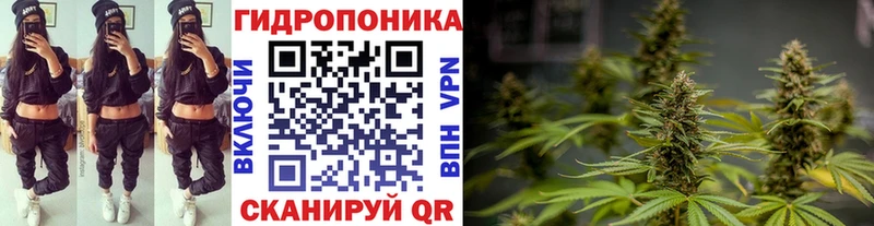 MEGA ТОР  купить закладку  Краснодар  darknet формула  Бошки марихуана тримм 